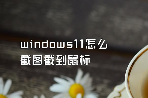 windows11怎么截图截到鼠标