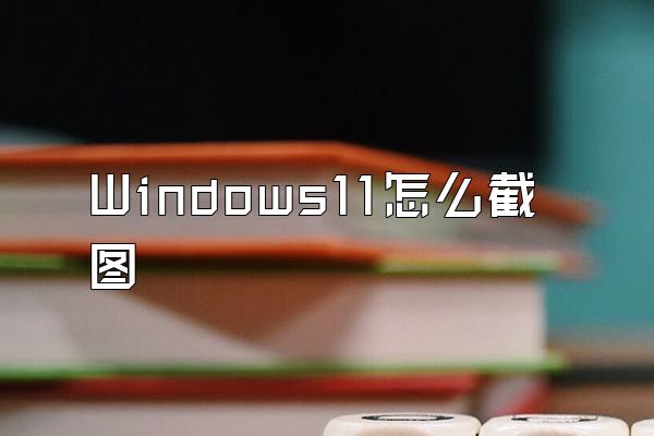 Windows11怎么截图