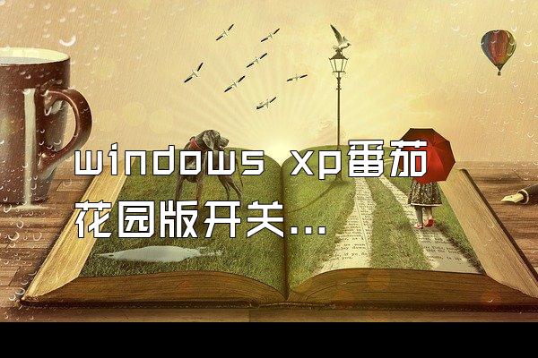 windows xp番茄花园版开关机音乐