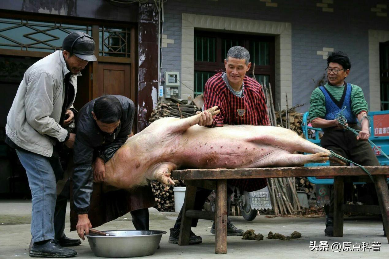 盘点十大中国美食，我们当作家常便饭，老外却难以下咽(图2)