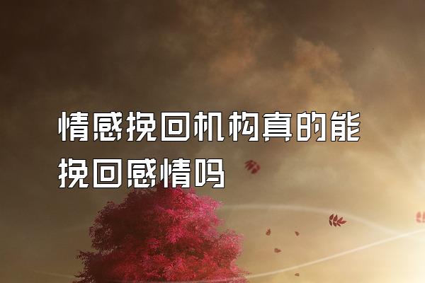 情感挽回机构真的能挽回感情吗