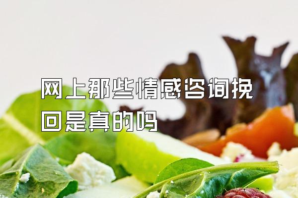 网上那些情感咨询挽回是真的吗