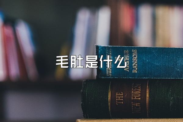 毛肚是什么