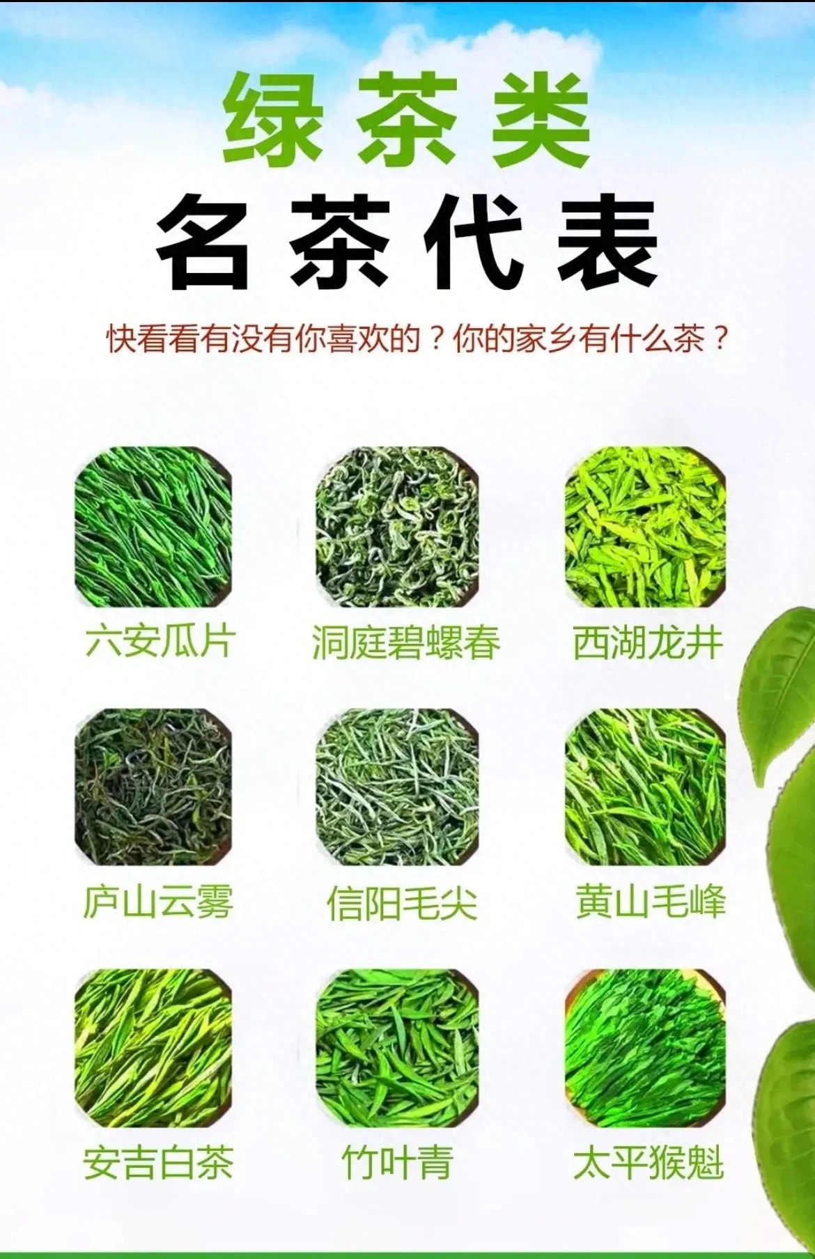 中国六大名茶代表知多少？